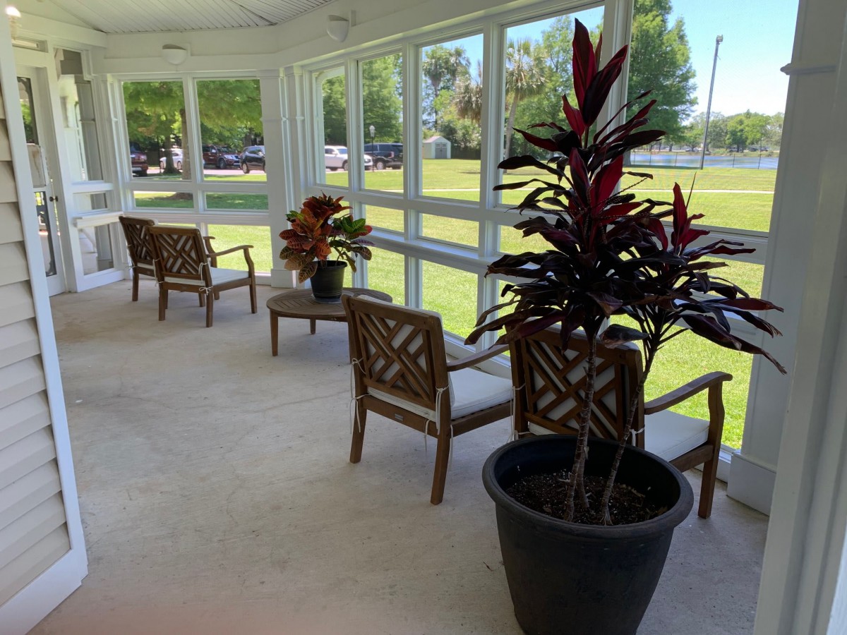 A sunlit room with chairs and potted plants offering a relaxing outdoor view.