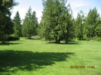 Green Meadow AFH LLC