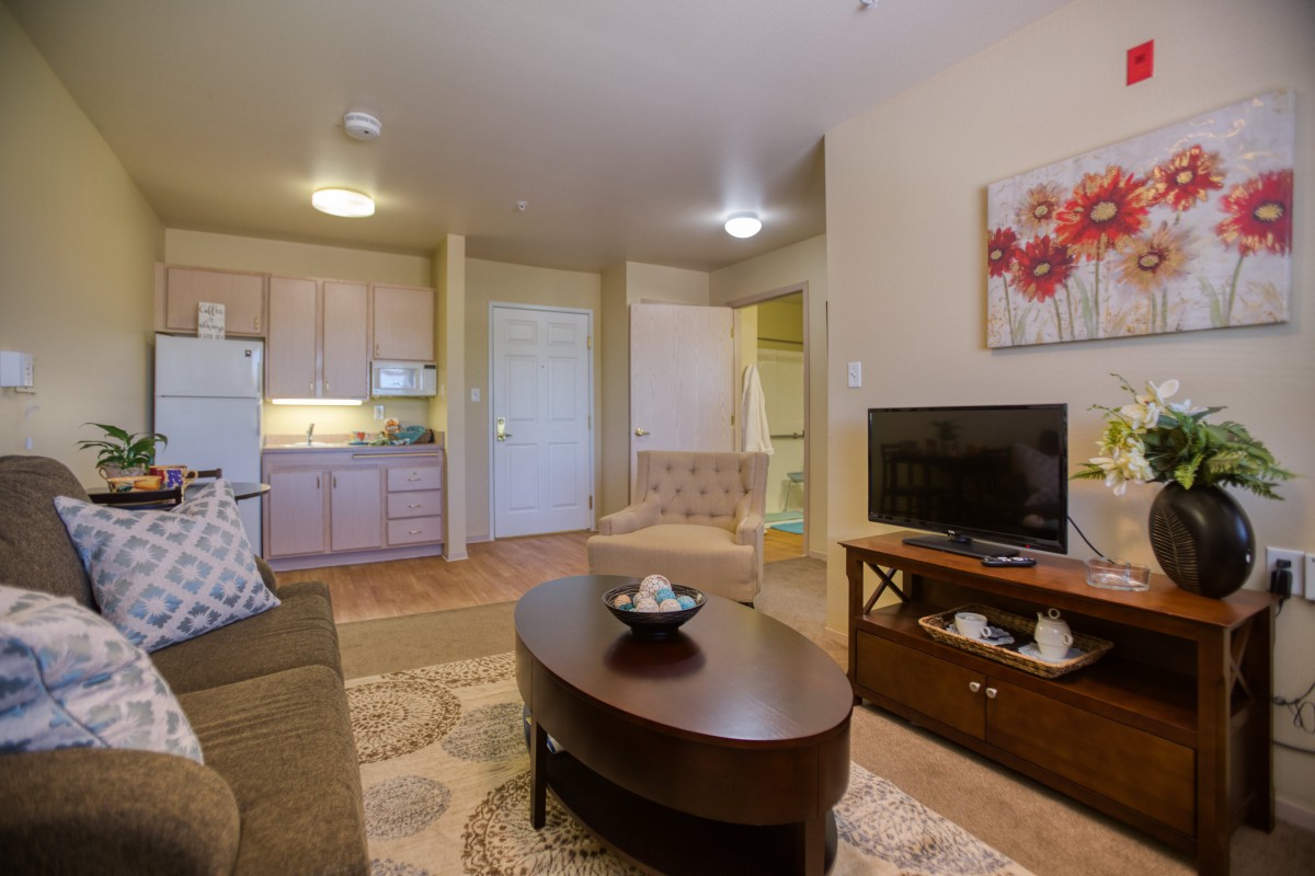 A cozy living room with a view of a small kitchen, featuring a sofa, coffee table, and TV.
