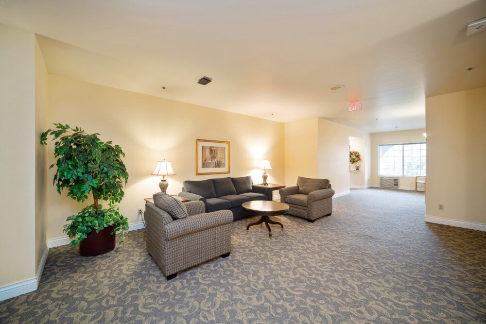 A cozy living room area with comfortable sofas and chairs, adorned with lamps and plants.
