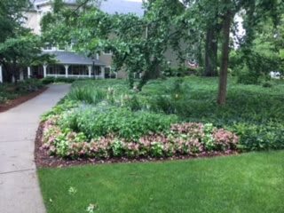 A beautiful garden with a variety of flowers and trees, including a well-maintained lawn and pathway.