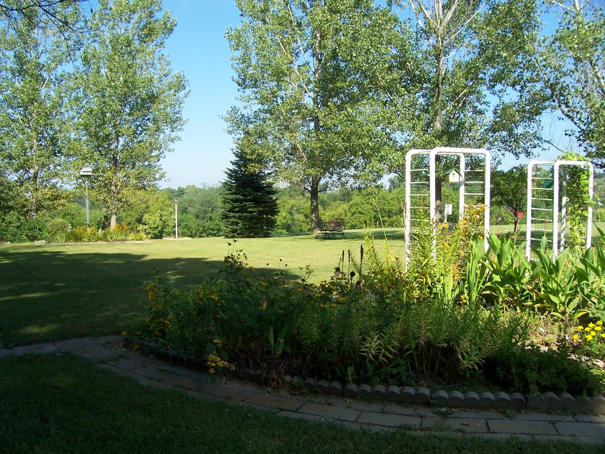 A scenic garden landscape featuring lush greenery and tall trees under a clear blue sky.