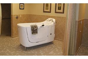 A bathroom featuring a modern walk-in bathtub designed for accessibility and safety.