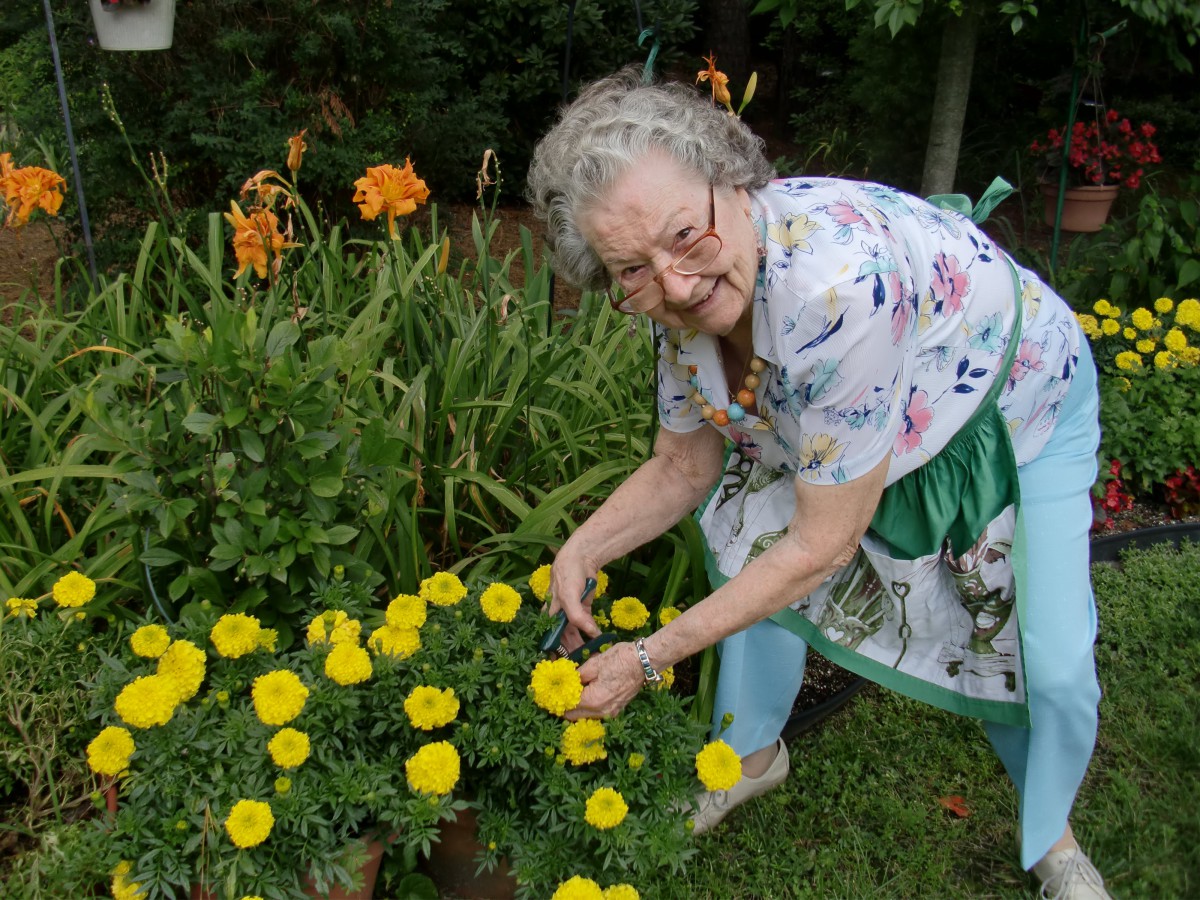 An elderly woman tending to her vibrant garden filled with marigolds.