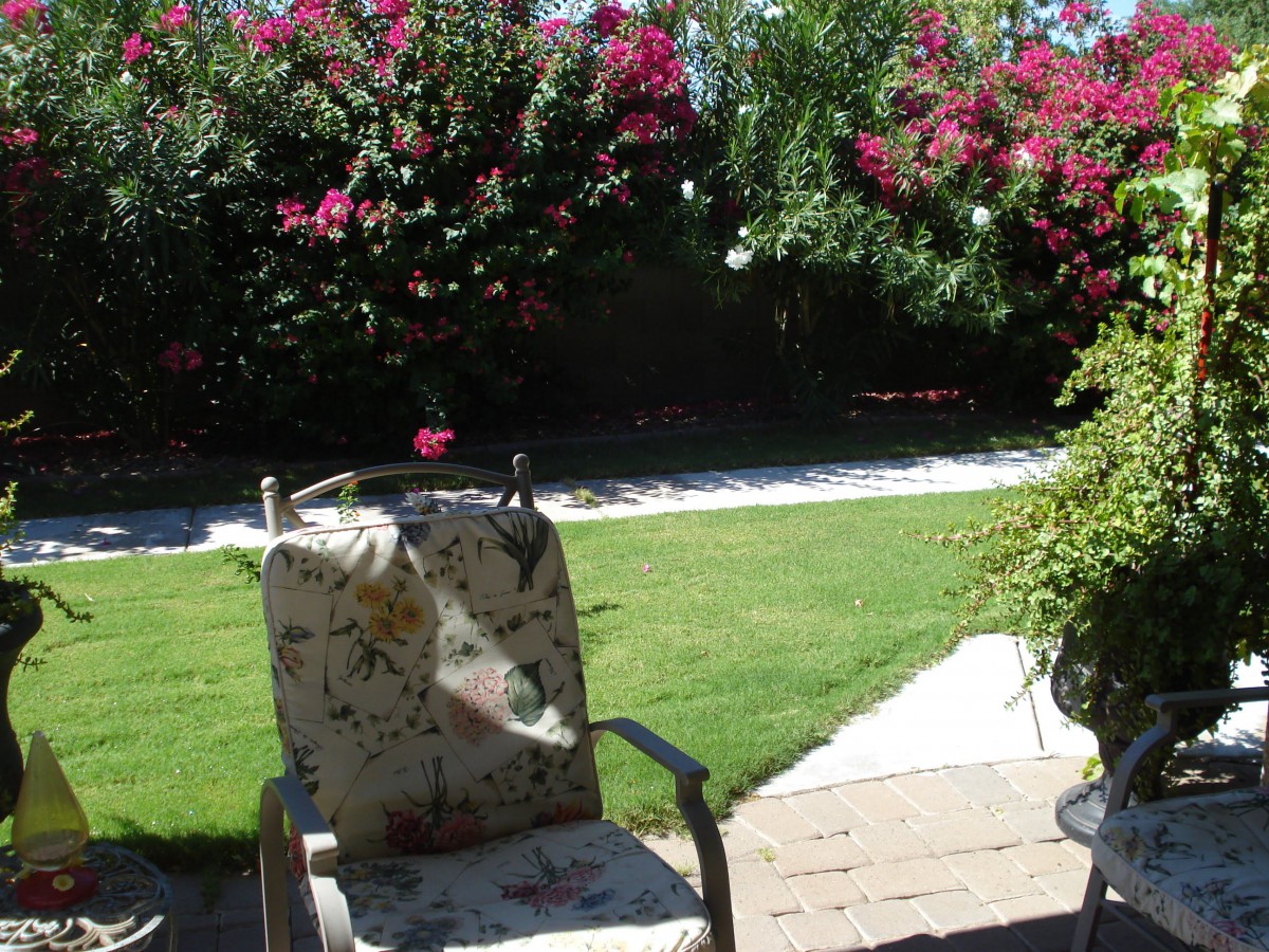 A sunny garden with a patio chair surrounded by vibrant flowers and greenery.