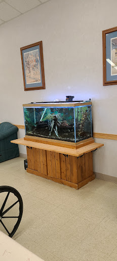 A beautifully maintained aquarium with vibrant aquatic life, showcasing a natural habitat on a wooden stand.