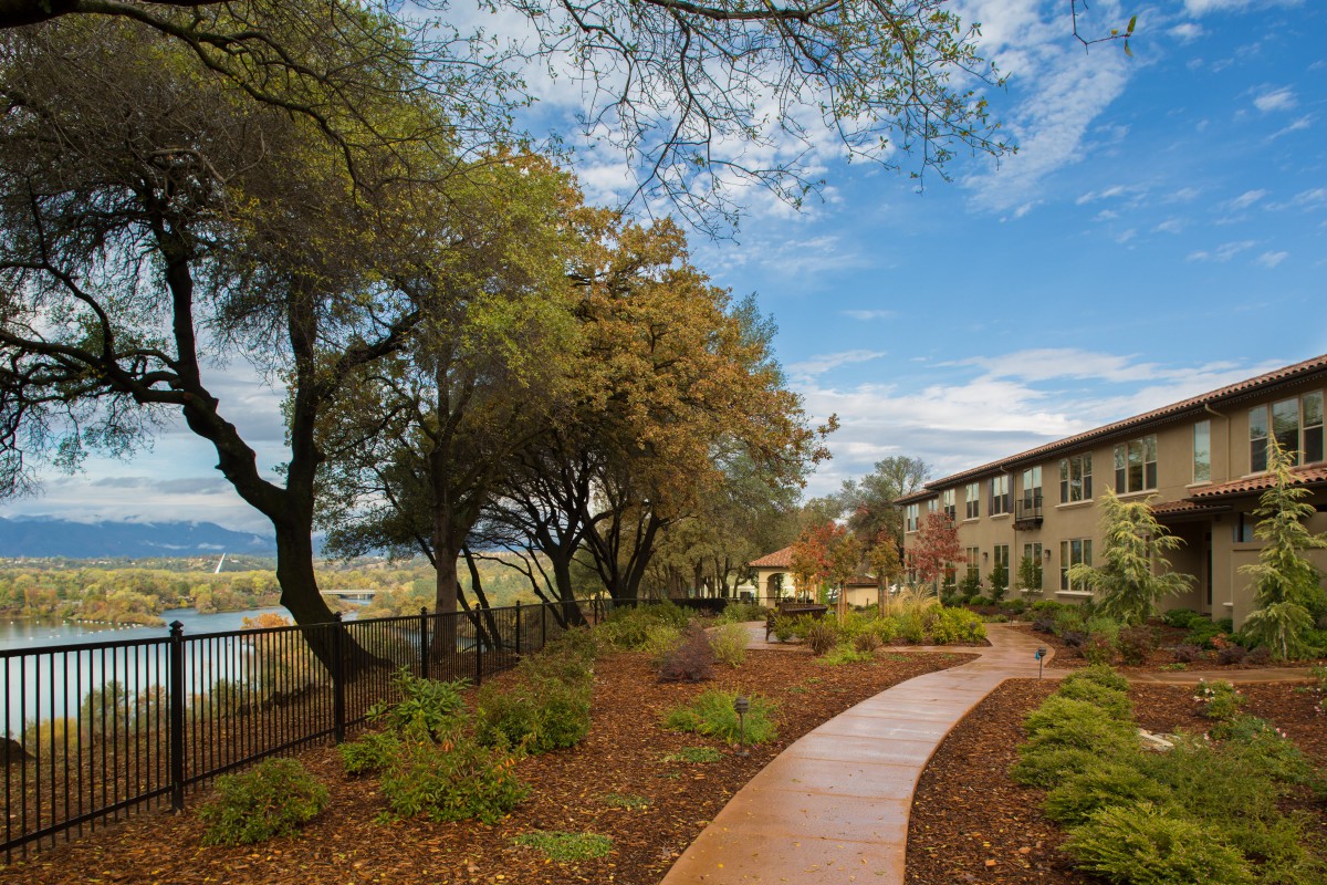 A scenic pathway winding through a picturesque landscape with trees and buildings nearby.