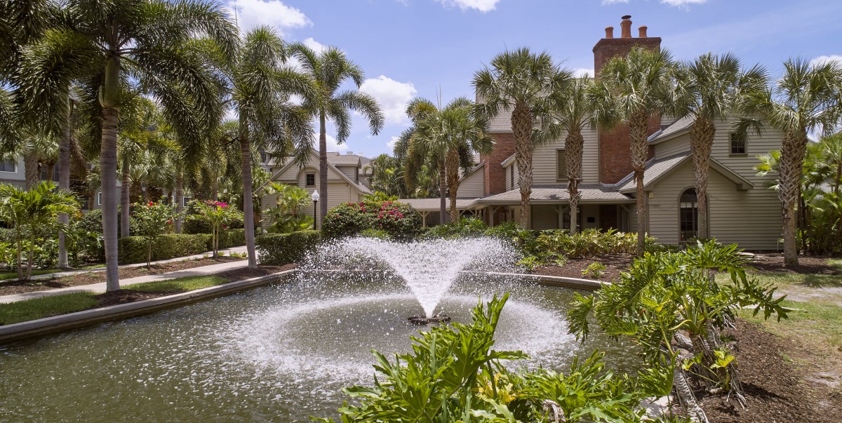 A serene outdoor scene with a fountain surrounded by palm trees and buildings.