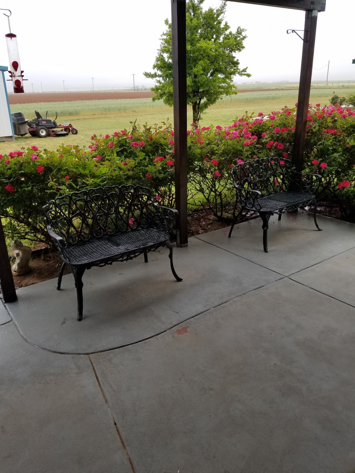 A peaceful patio with two benches overlooking a garden of flowers.