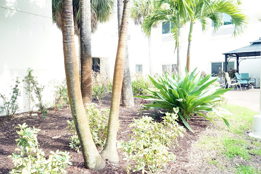 A serene garden scene featuring palm trees and lush greenery.