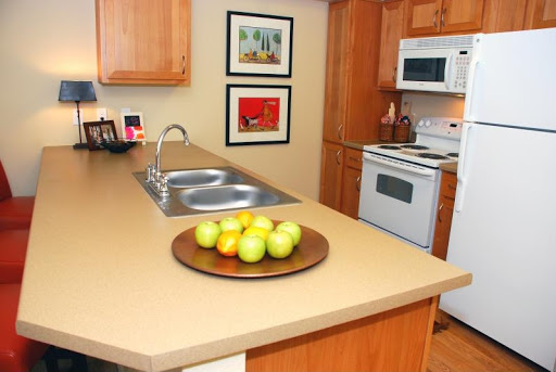 A cozy kitchen featuring a countertop with a bowl of fresh apples, wooden cabinets, and modern appliances.