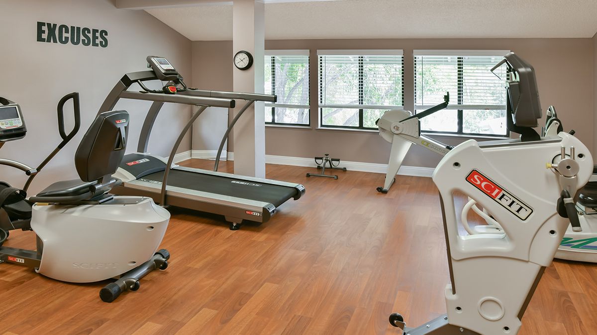 A modern gym with treadmills and exercise equipment.