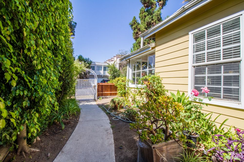 A charming pathway beside a house with a garden on a sunny day.