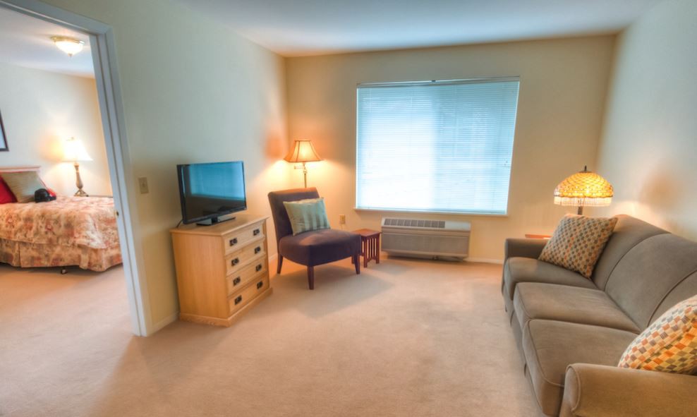 A cozy living room featuring a TV, chair, sofa, and window with natural light.