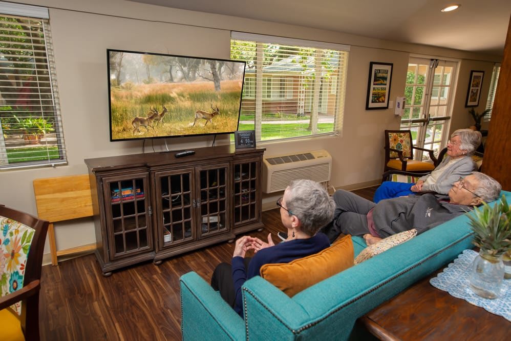 A person relaxing on a teal couch while watching television in a cozy living room.