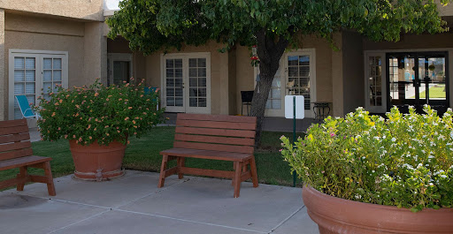 A cozy wooden bench surrounded by greenery in a serene outdoor space.