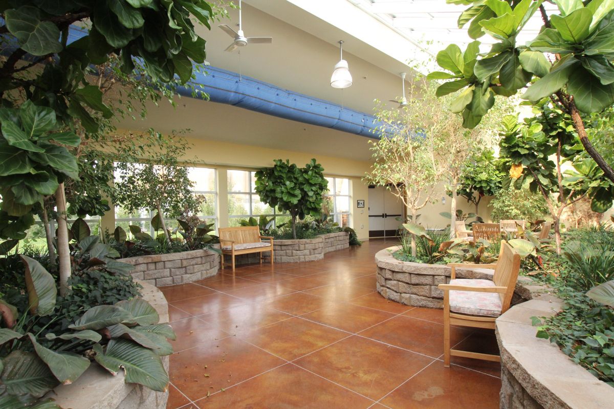 A spacious indoor greenhouse filled with a variety of plants and comfortable wooden benches.