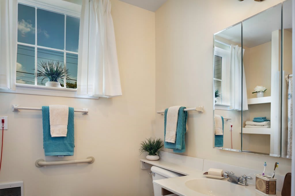 A well-lit bathroom with a mirror, towels, and a small plant on the sink.