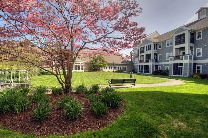 A scenic view of a landscaped garden with a blooming tree and a bench, adjacent to a residential building.