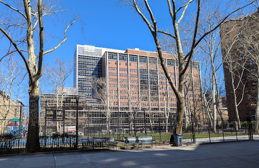 A view of a modern building surrounded by trees and a park under a clear blue sky.