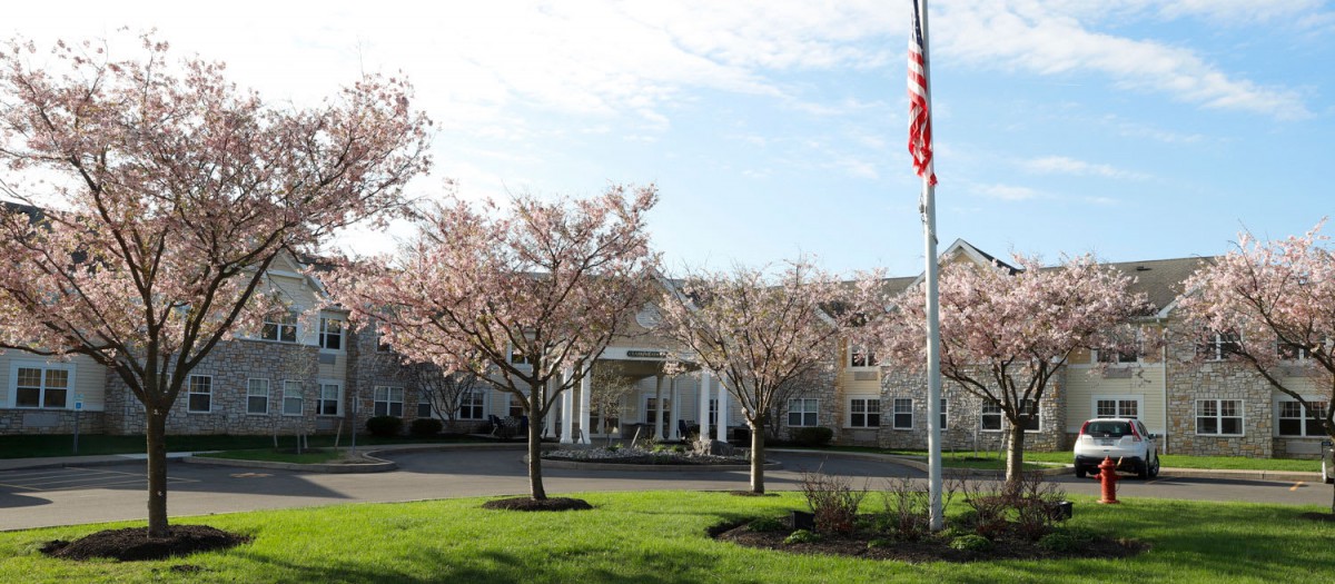 A well-maintained building with a landscaped entrance and flowering trees, featuring a flagpole in the foreground.