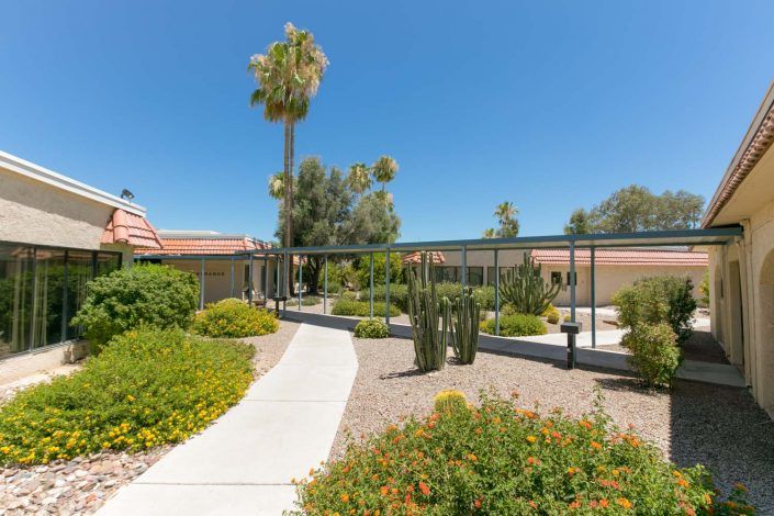 A sunny outdoor walkway with desert landscaping, featuring cacti and a palm tree next to a building.