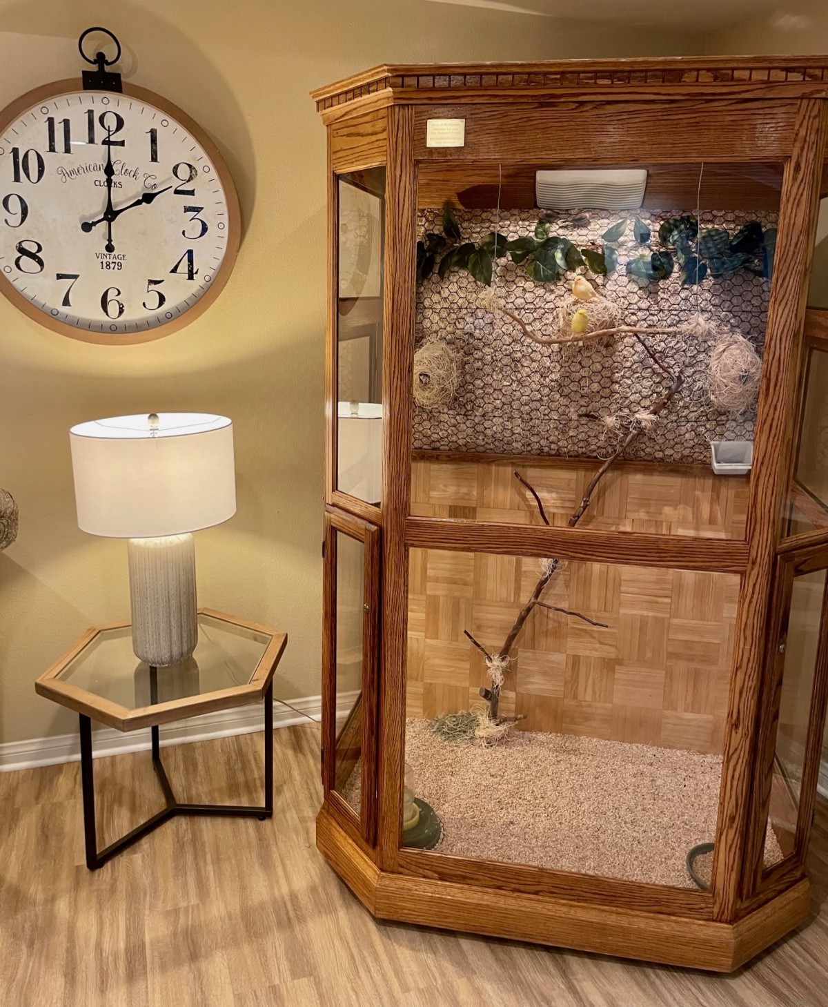 A cozy indoor setting featuring a terrarium with a lizard, an end table with a lamp, and a wall clock.