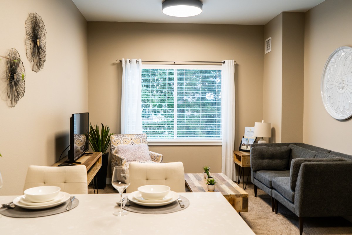 A modern apartment living room with a cozy atmosphere and natural lighting.