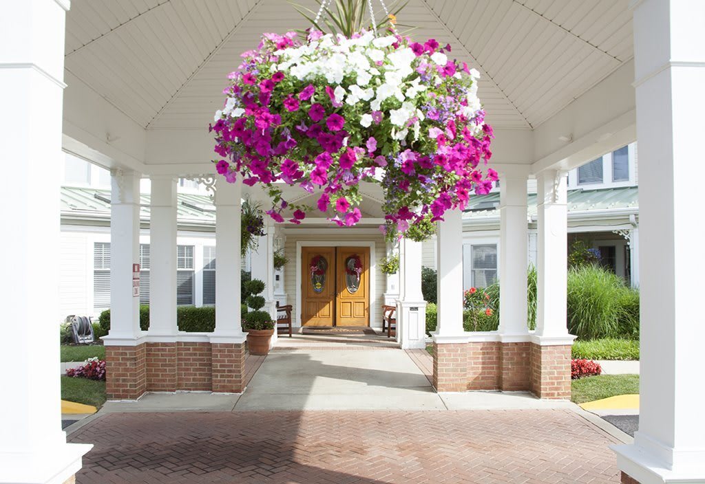 A welcoming building entrance with a large hanging basket of vibrant flowers.