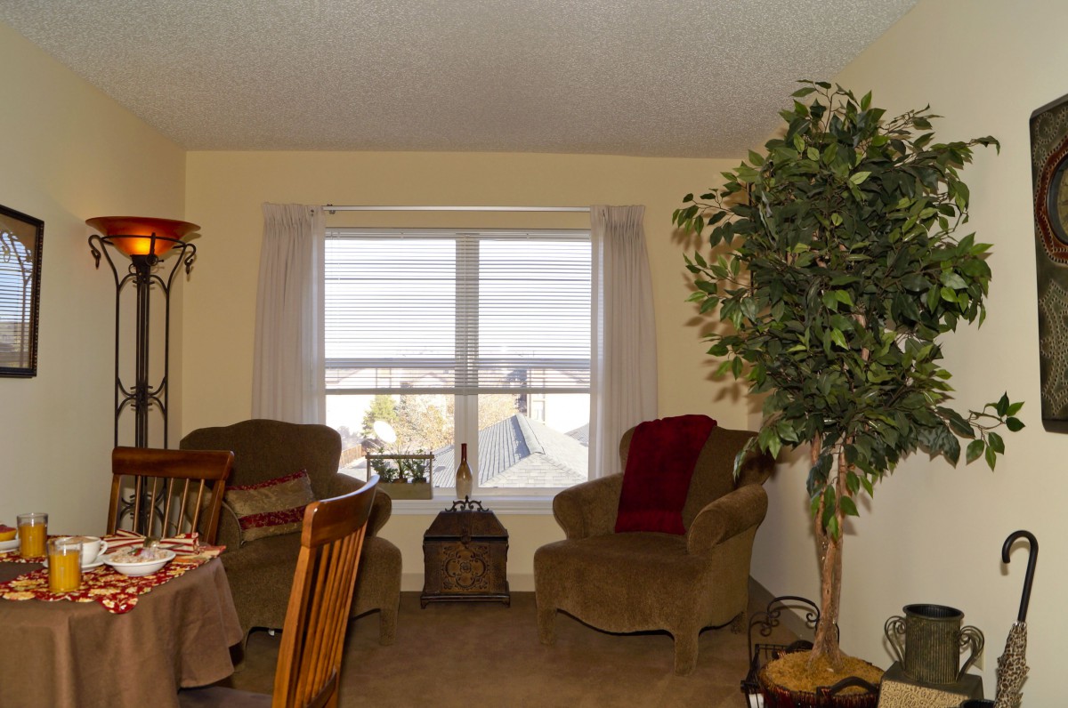 A cozy living room with two chairs, a large window, and indoor plants.