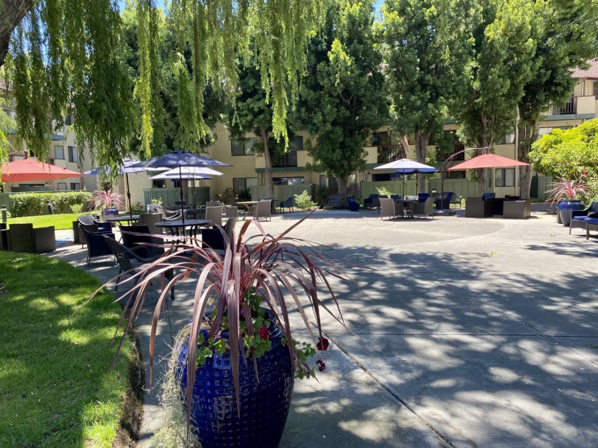 A sunny outdoor patio with tables, umbrellas, and lush greenery.