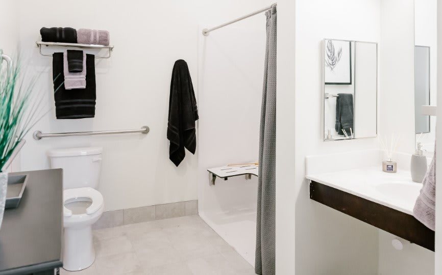 An accessible bathroom with a walk-in shower, toilet, and sink.