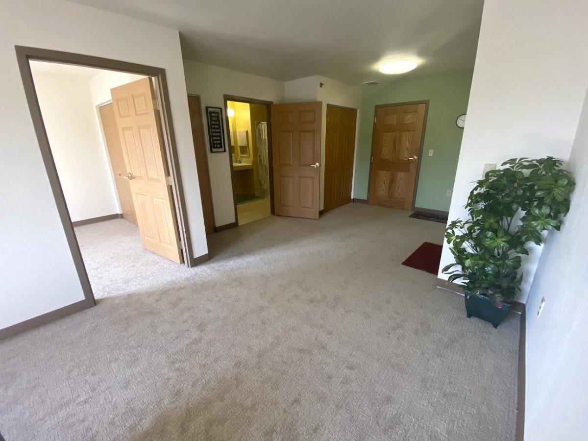 A spacious living area with carpeted flooring, multiple wooden doors, and a potted plant.