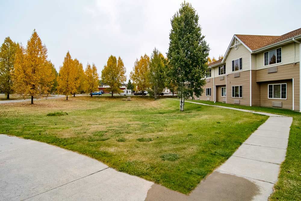 A residential area with an apartment building surrounded by autumn trees and a well-maintained lawn.