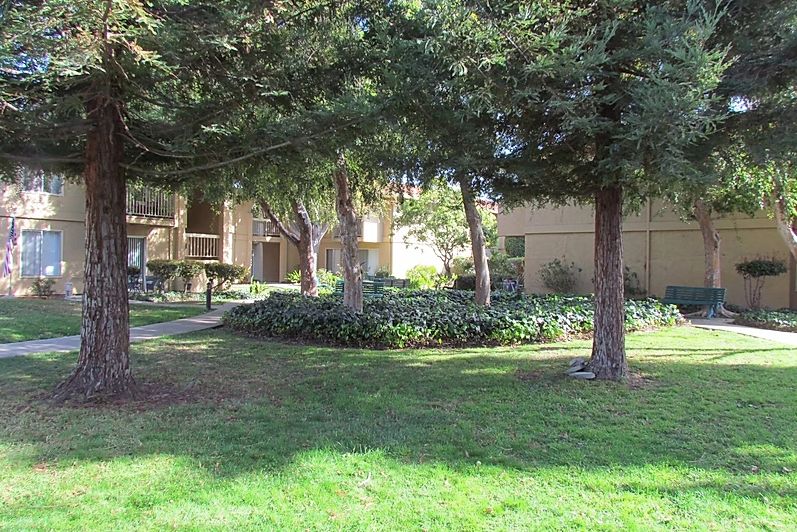 A grassy area with trees and surrounding buildings.