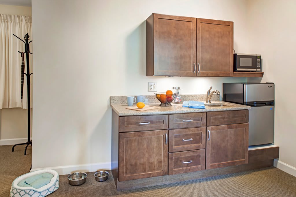 A modern kitchen with wooden cabinets, a countertop featuring a fruit bowl and microwave, and a set of pet bowls on the floor.