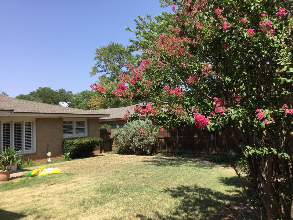 Silvertop Assisted Living