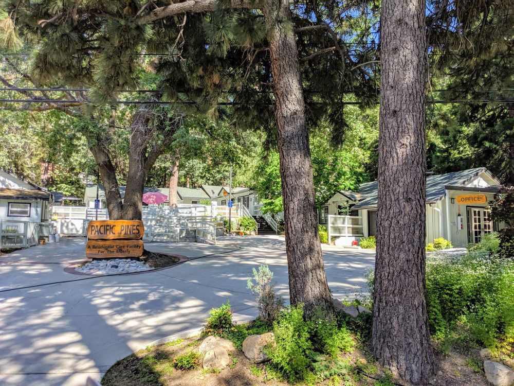 A serene garden scene with trees casting shadows on a pathway.