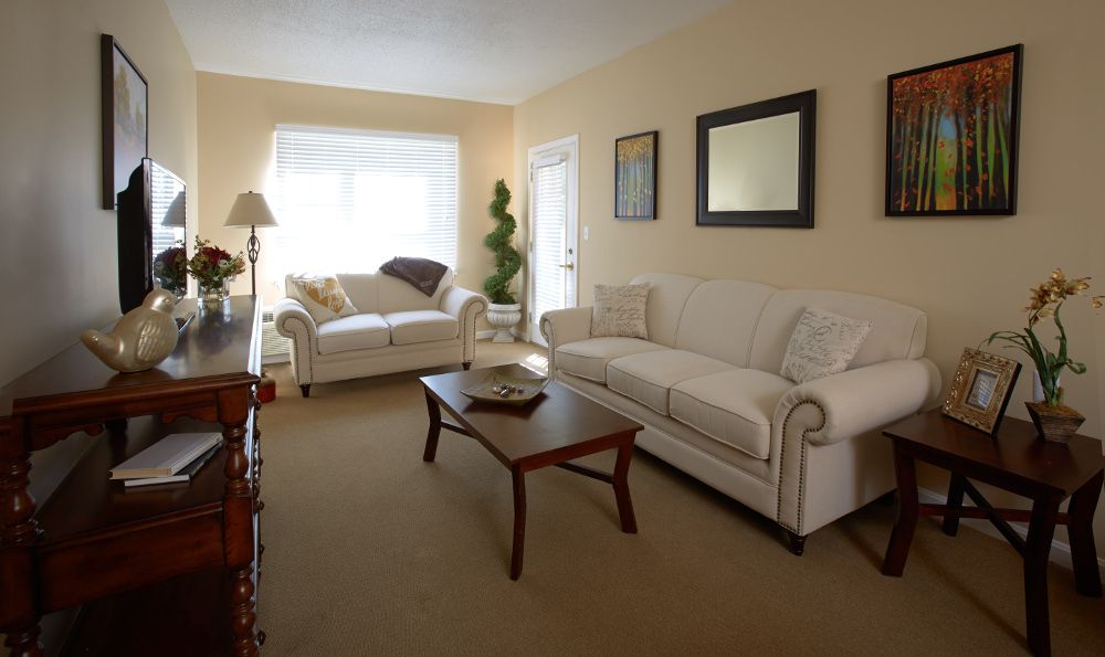 A cozy living room with two sofas, a coffee table, and decorative elements.