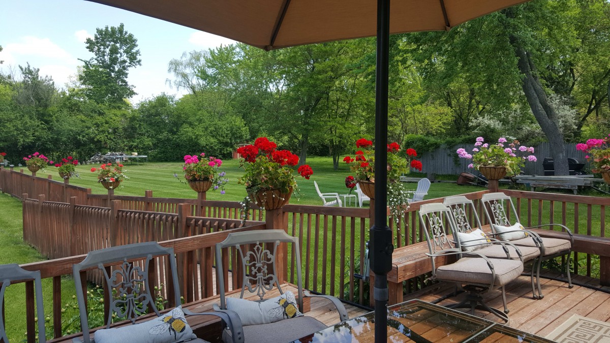 A cozy outdoor patio with umbrellas, surrounded by lush greenery and colorful flowers.