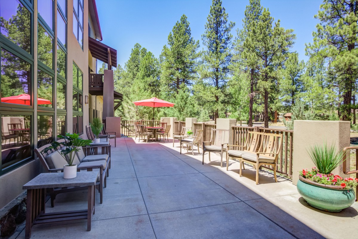 A spacious outdoor patio deck with chairs and a red umbrella, surrounded by tall trees on a sunny day.