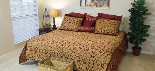 A neatly made bed with patterned bedding and matching pillows in a cozy bedroom setting.