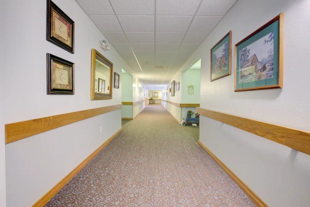 A well-lit hallway with framed paintings on the walls and a carpeted floor.