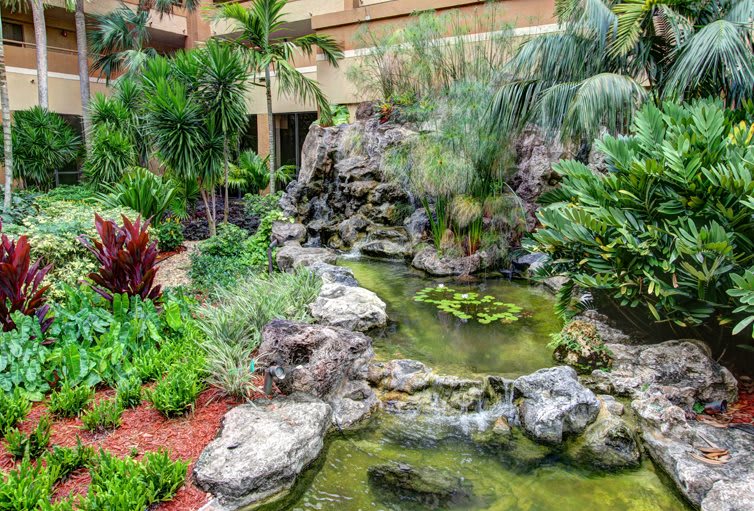 A serene tropical garden with a pond and lush greenery.