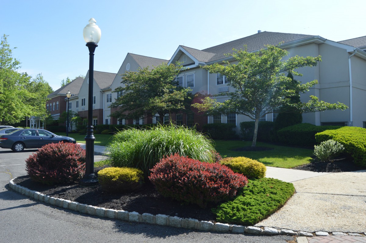A well-landscaped suburban residential area with neatly trimmed bushes and a street lamp.