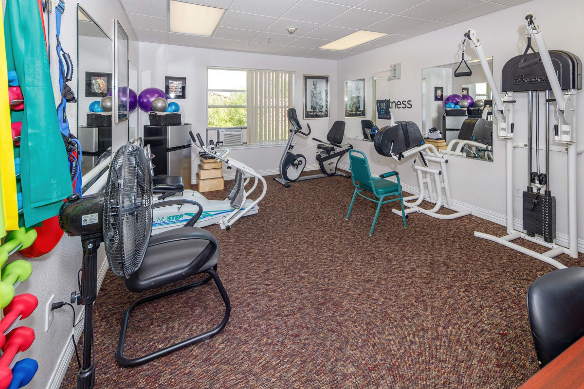 A well-equipped exercise room with fitness machines and mirrors on a carpeted floor.