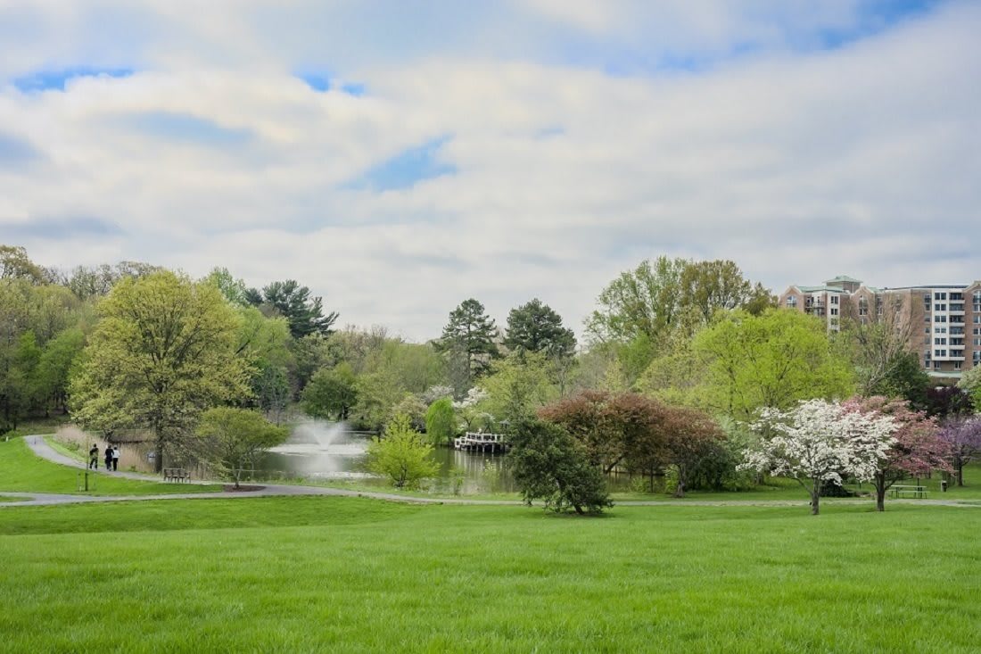 A scenic view of a lush park with a fountain and blooming trees, under a partly cloudy sky.