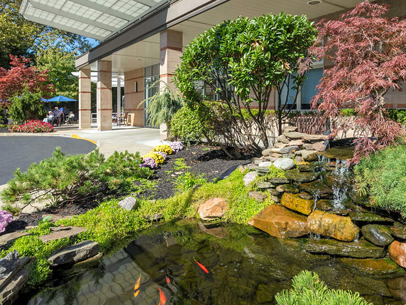 A tranquil garden scene featuring a pond with koi fish and lush landscaping beside a building.
