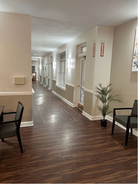 A well-lit hallway with wooden flooring, featuring chairs and potted plants along the walls.