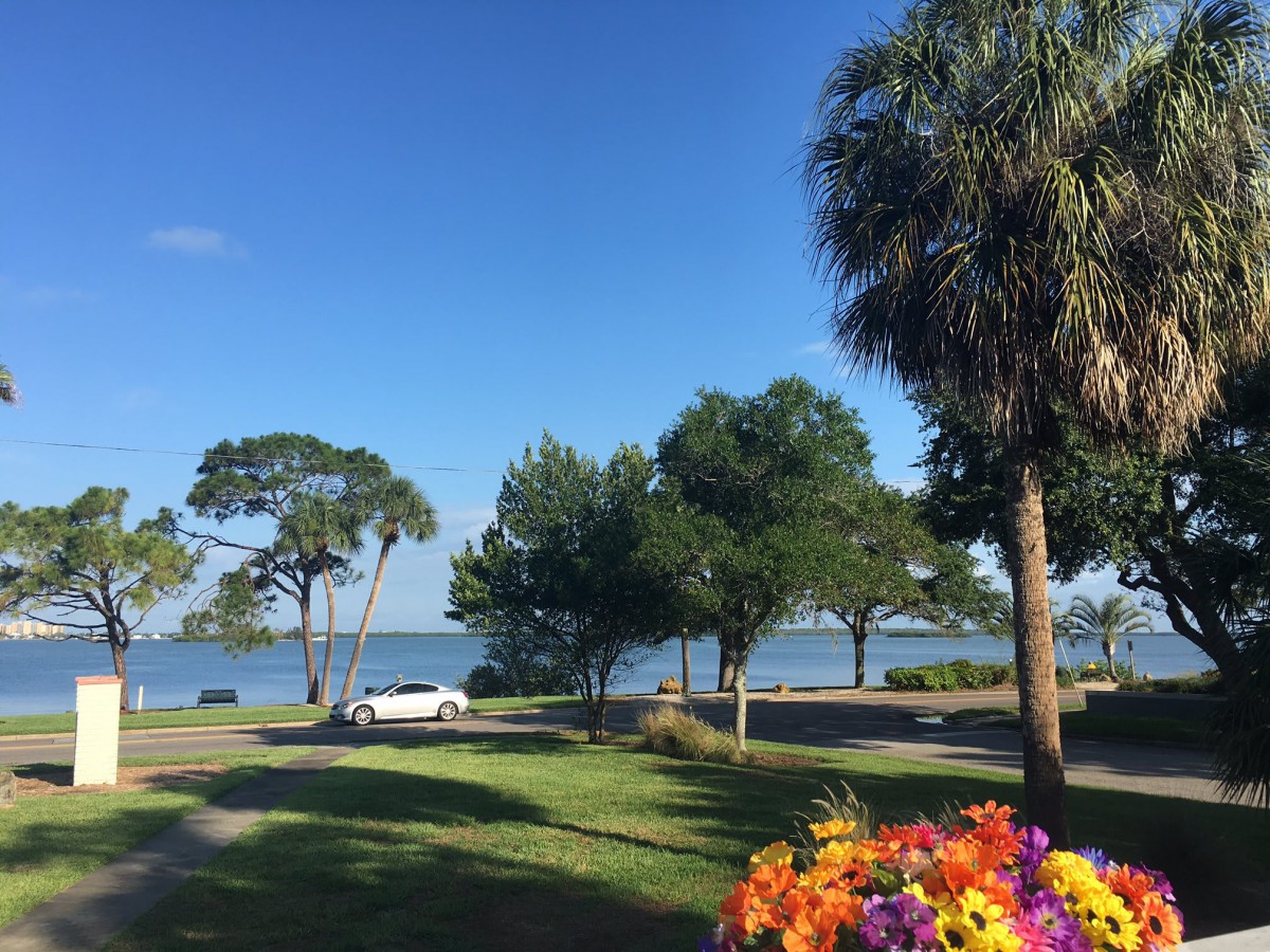 A scenic view of a park by the lake with lush trees and colorful flowers.